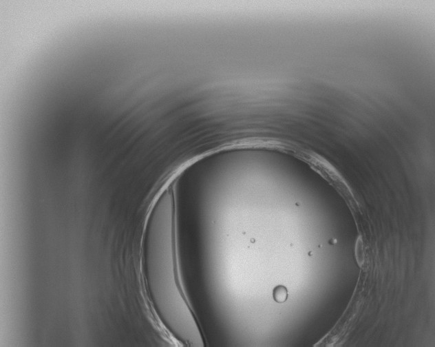 X0000059830860200510281756