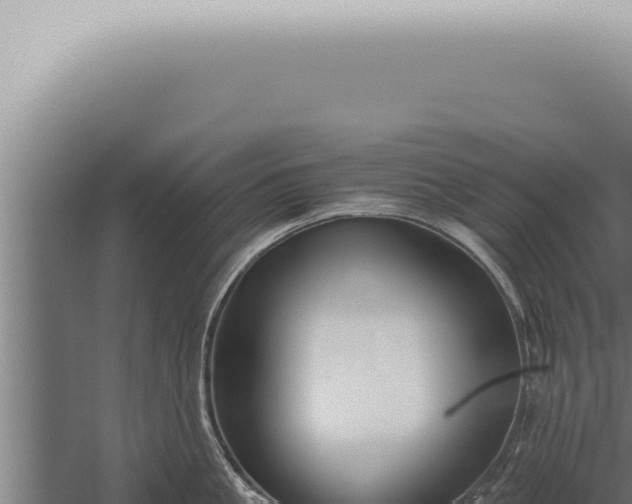 X0000059830861200510281756