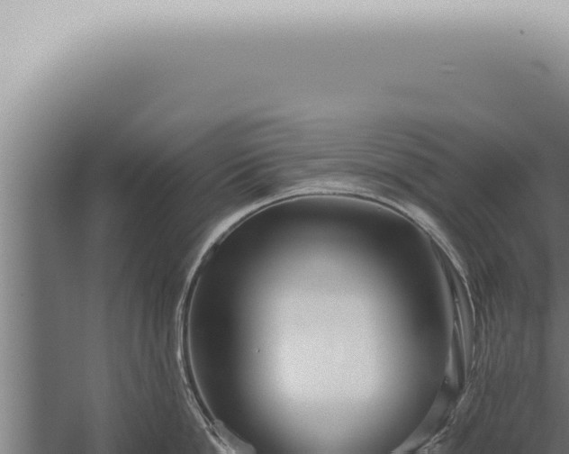 X0000059830862200510281756