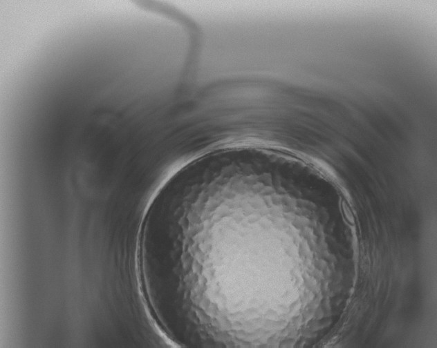 X0000059830863200510281756