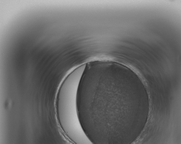 X0000059830864200510281756