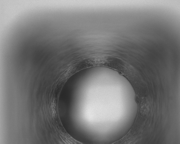 X0000059830866200510281755