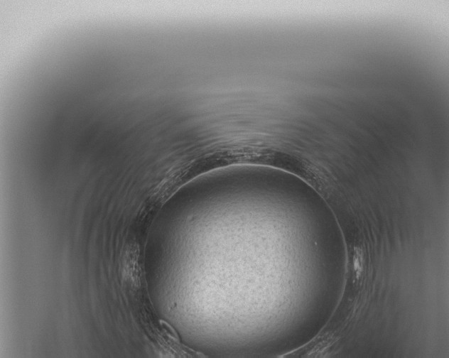 X0000059830867200510281755