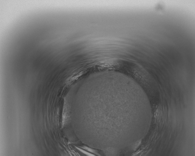 X0000059830868200510281755