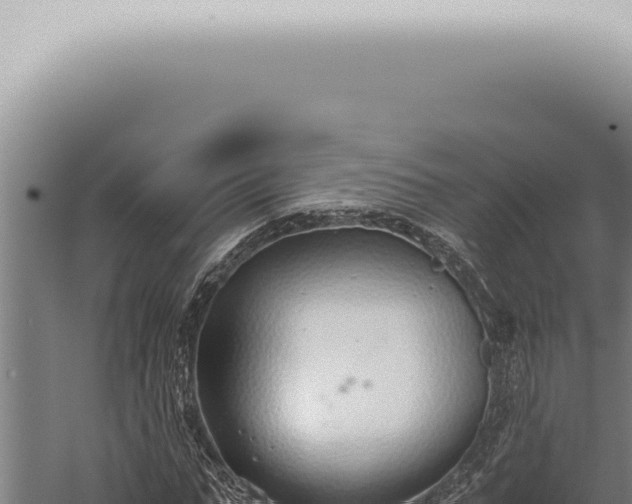 X0000059830871200510281755