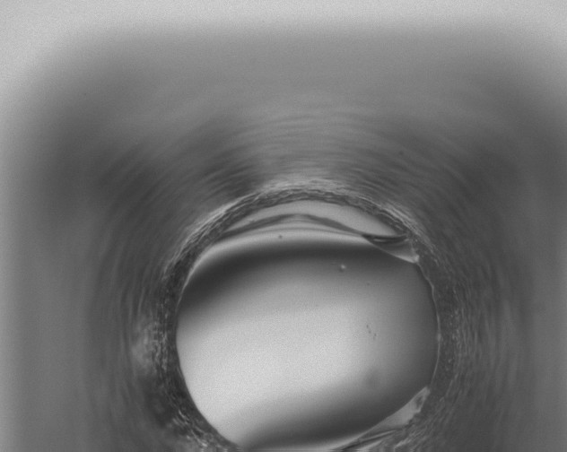 X0000059830872200510281755