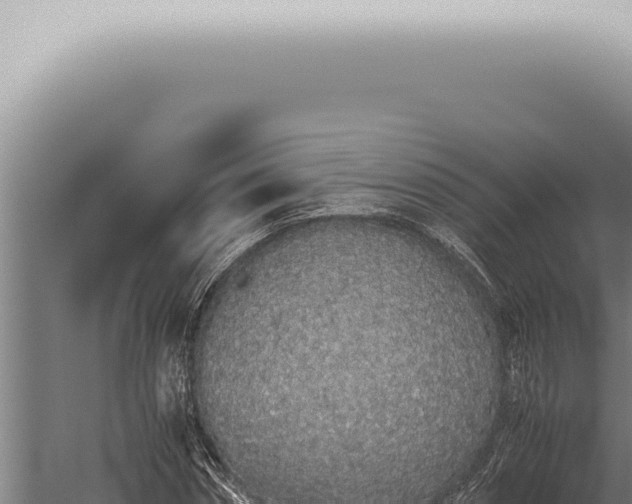 X0000059830874200510281755