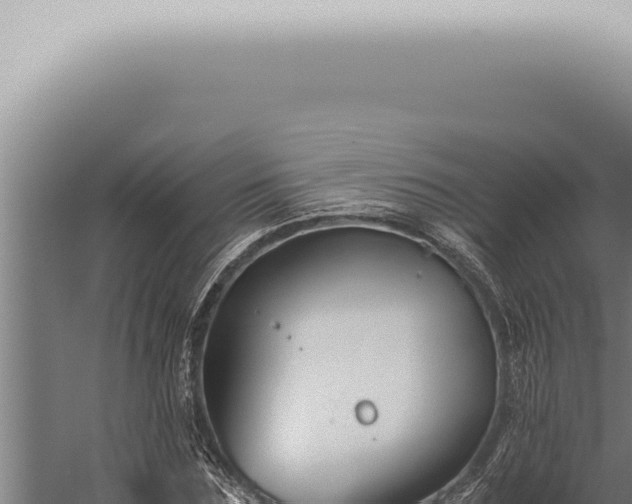 X0000059830875200510281755