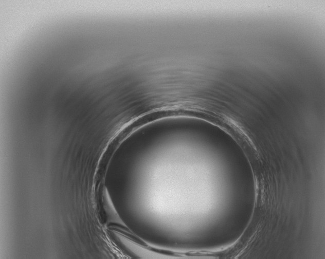 X0000059830876200510281755