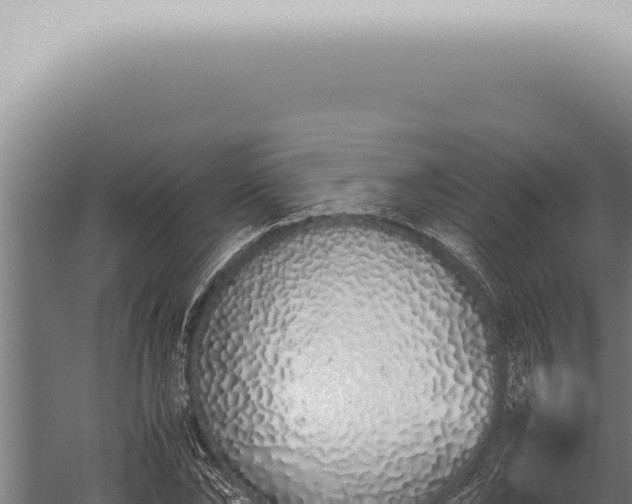 X0000059830878200510281755