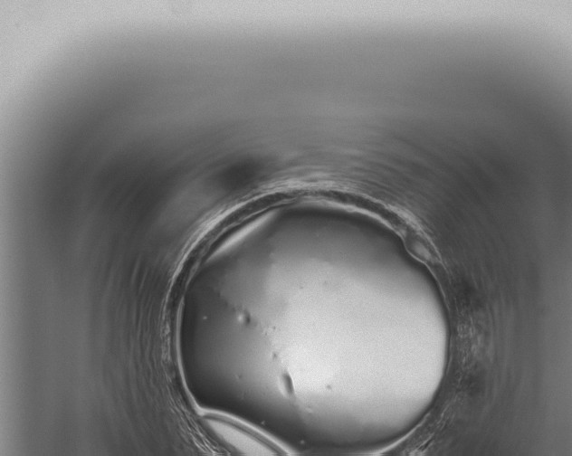 X0000059830879200510281755