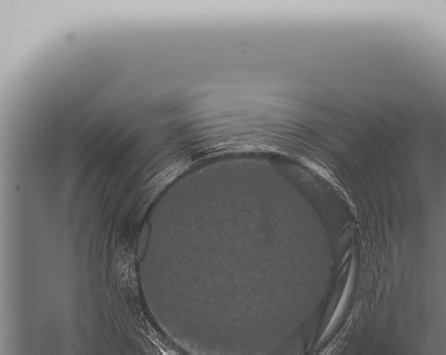 X0000059830881200510281755