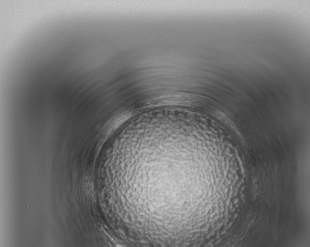 X0000059830882200510281755