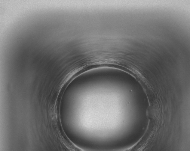 X0000059830885200510281755