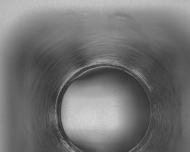 X0000059830888200510281755