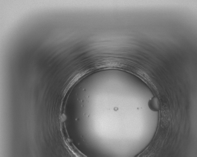 X0000059830890200510281755