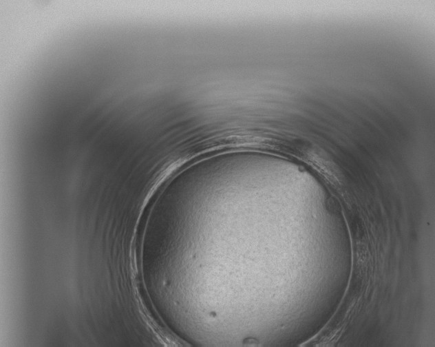 X0000059830891200510281755