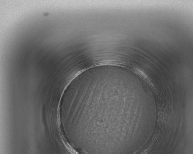 X0000059830892200510281755