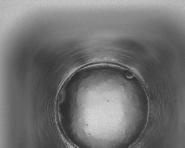 X0000059830895200510281755