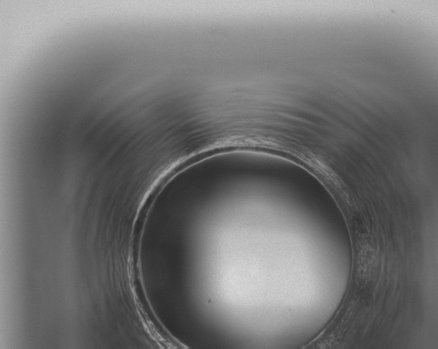 X0000059830896200510281754