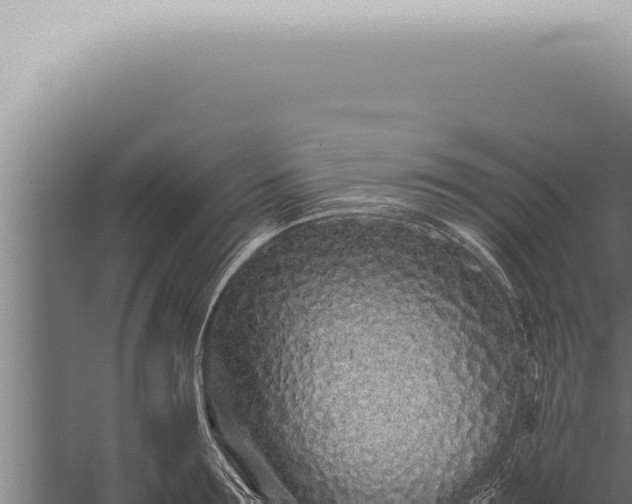 X0000059830899200510281754