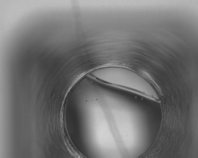 X0000059830900200510281754