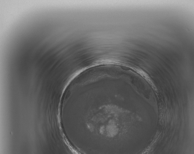 X0000059830904200510281754