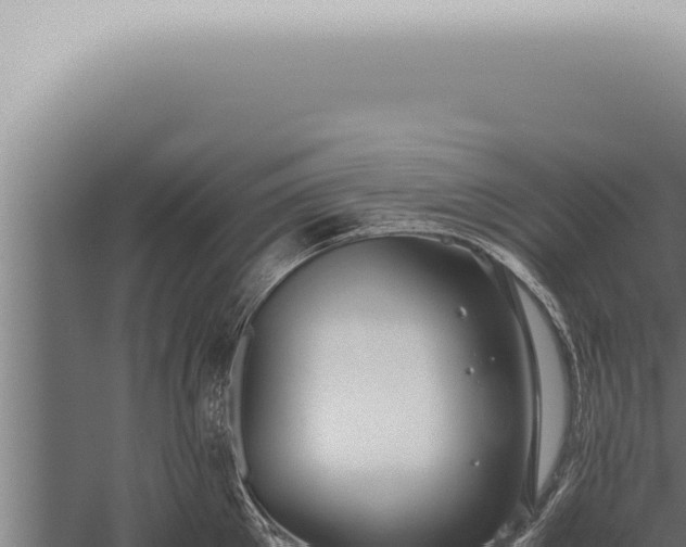 X0000059830905200510281754