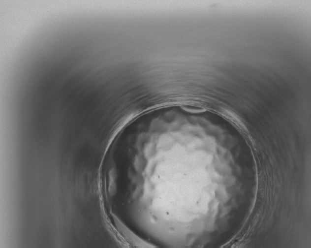 X0000059830907200510281754