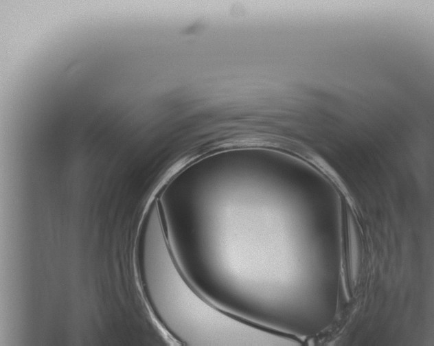 X0000059830909200510281754