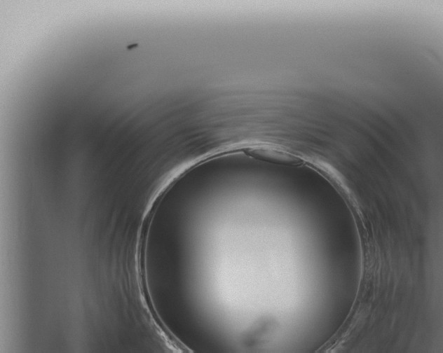 X0000059830910200510281754