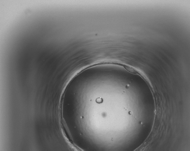 X0000059830911200510281754