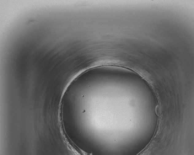 X0000059830912200510281754