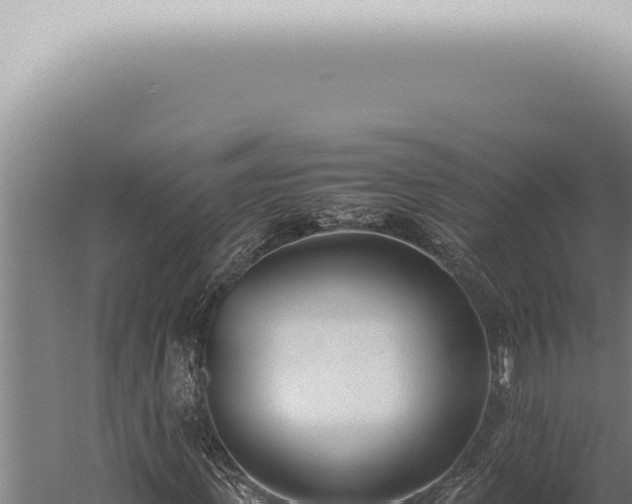 X0000059830915200510281753