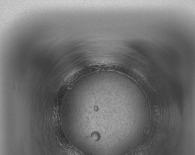 X0000059830918200510281753