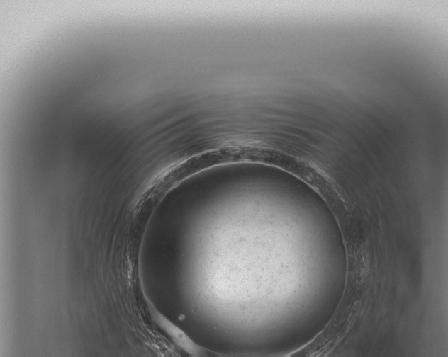 X0000059830919200510281754