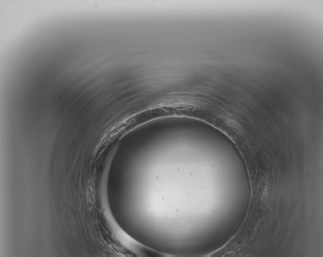 X0000059830920200510281754