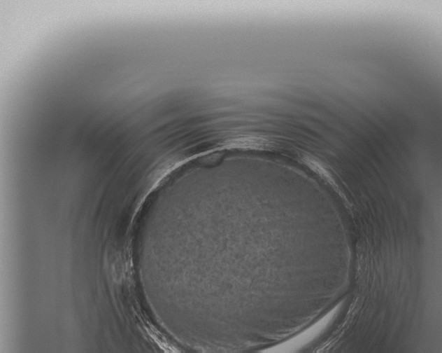 X0000059830923200510281754