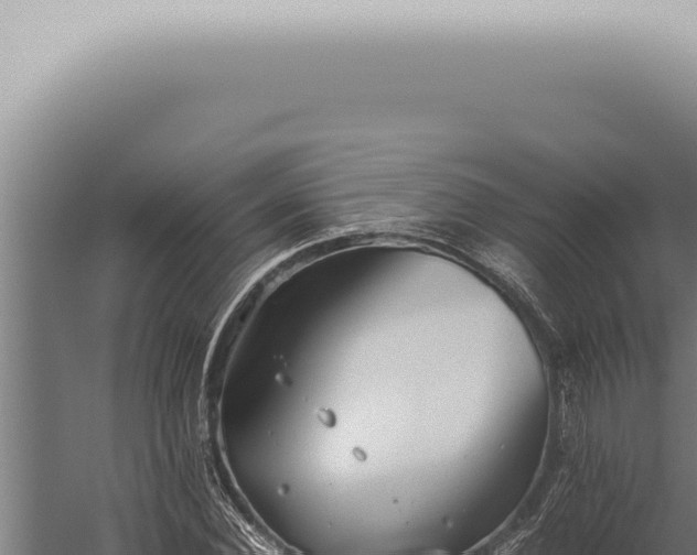 X0000059830924200510281754