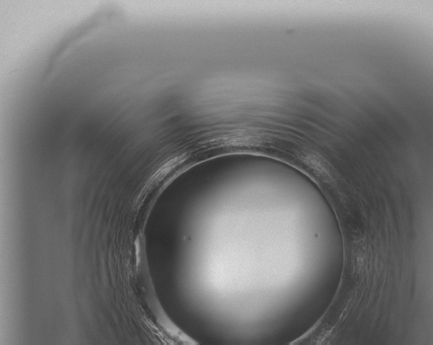 X0000059830930200510281754