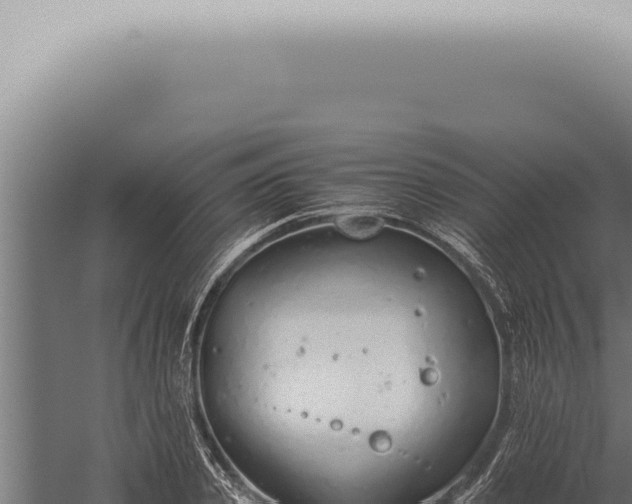 X0000059830933200510281754