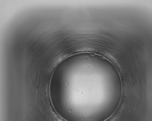 X0000059830937200510281754