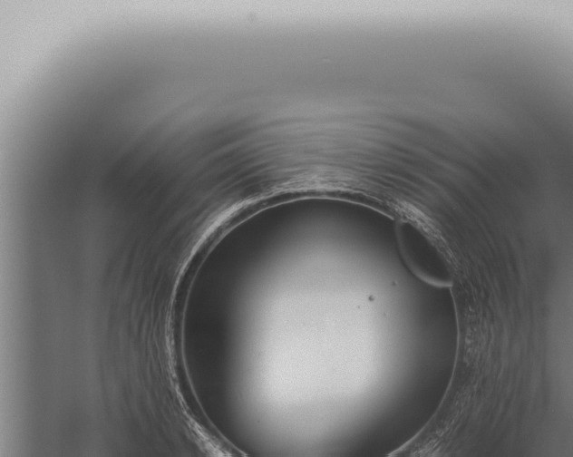 X0000059830942200510281754