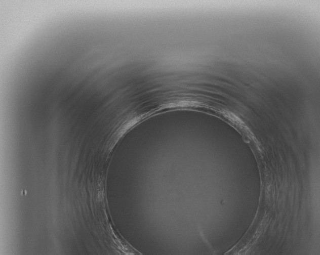 X0000059830945200510281754