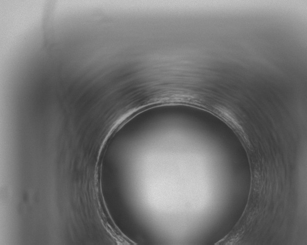 X0000059830948200510281754