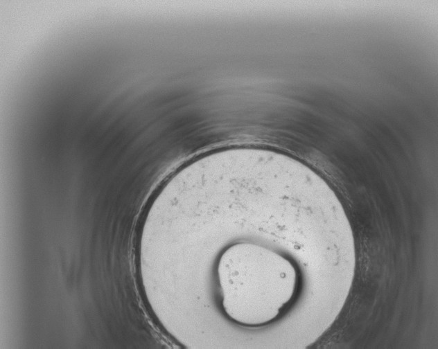 X0000059830950200510281754