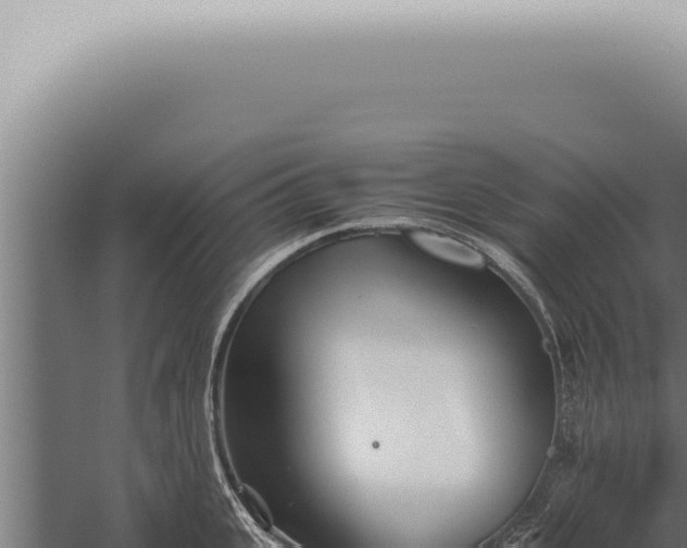 X0000059830951200510281754