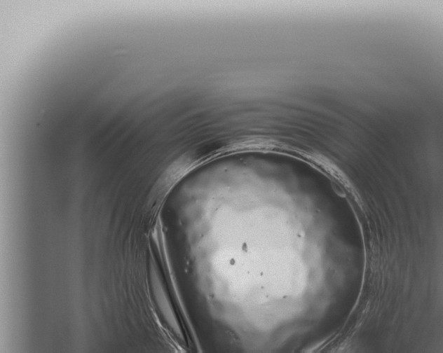 X0000059830953200510281754