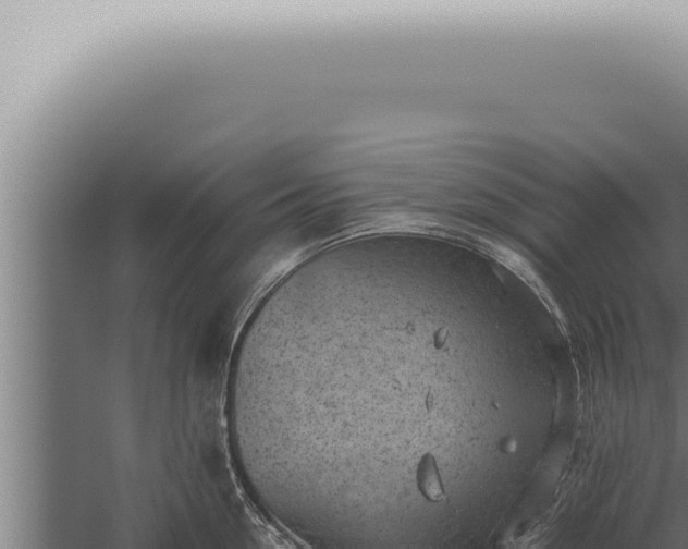 X0000059830954200510281754