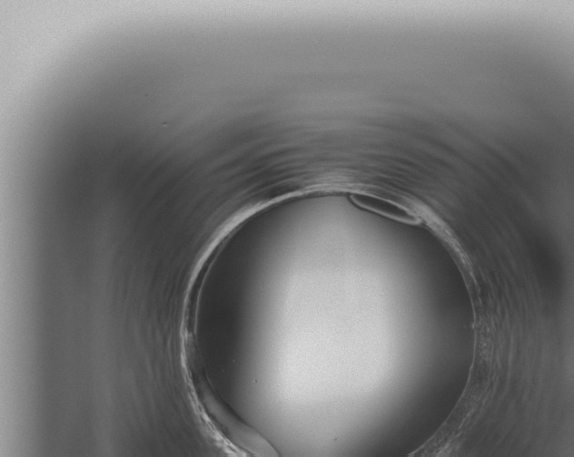 X0000059830955200510281754